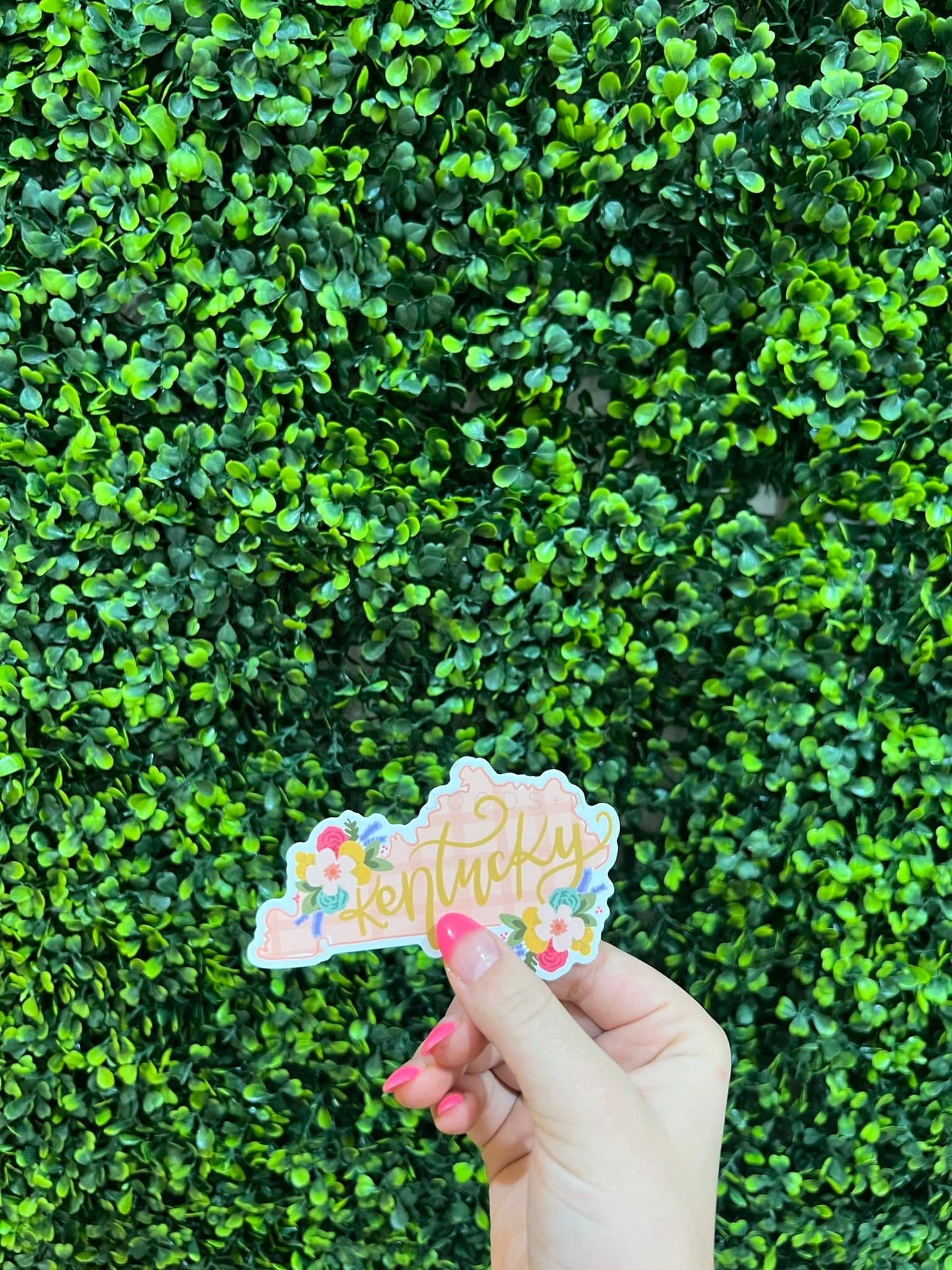 Kentucky Floral Pink Plaid Sticker - Sticker