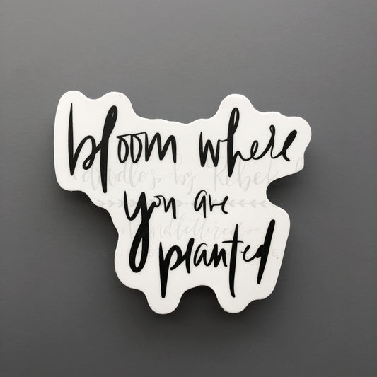 A sticker with the phrase 'Bloom Where You Are Planted' in black text on a white background.