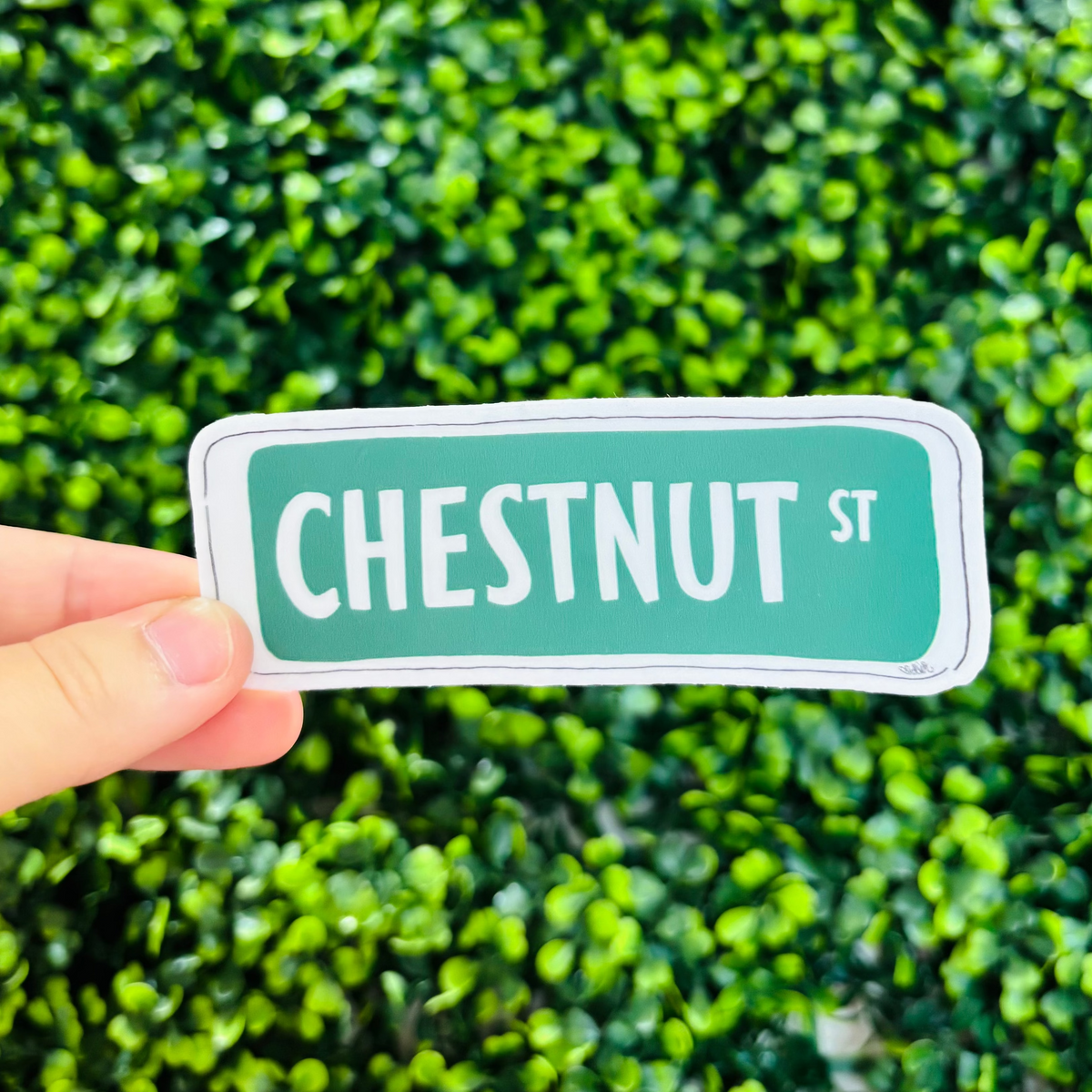a hand holding a green & white street sign sticker that reads "Chestnut St"