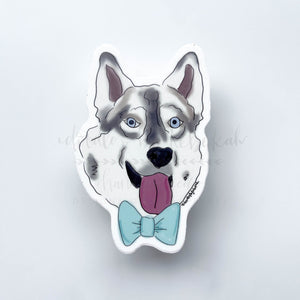 Husky in a Bow Tie Sticker